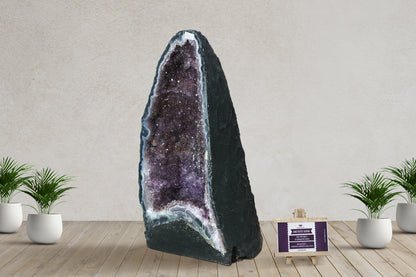 Amethyst Geode cathedral crystal cluster - 11.5(H)X7.4(W)X4.4(L) Inch(19.294Lb)