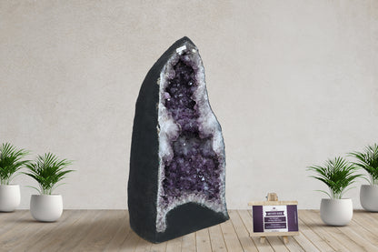 Amethyst Cluster Raw Geode Caves/Raw Clusters -26(H)X14(W)X14(L)Inch-(130.46Lb)