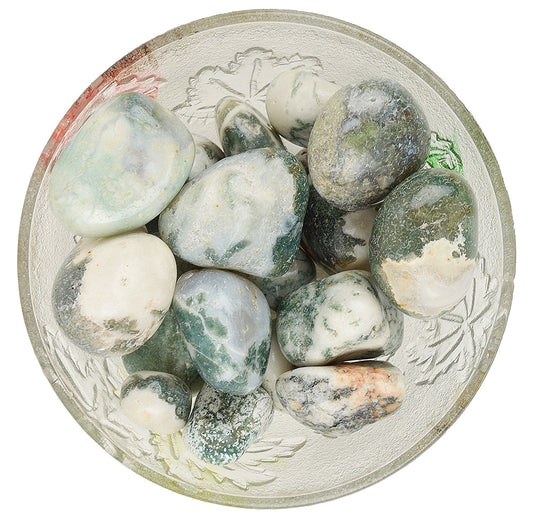 Tree Agate Tumbled|100GR |5-6Pc| |2.5-3 cm|Healing Tumbled Stones